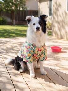 Dog Leisure Shirts For Summer - Breathable Lightweight Dog Summer Clothes, Summer Shirts For Small Medium Large Dogs, All Over Printing Dog Clothes - Watermelon And Banana Pattern - Multicolor - View 8