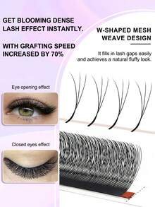 12 Rows D-Curl 3D Lashes, Closely Spaced, 3D W-Shaped Pre-Made Fluffy Fanned Lashes, 0.07/0.1mm, Natural Soft Narrow 3D W-Shaped Lashes - D - View 6