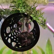 Hang động ẩn náu trong bể cá dành cho cá Betta, tôm và các loài cá nhỏ. - Nhiều màu - Xem 7