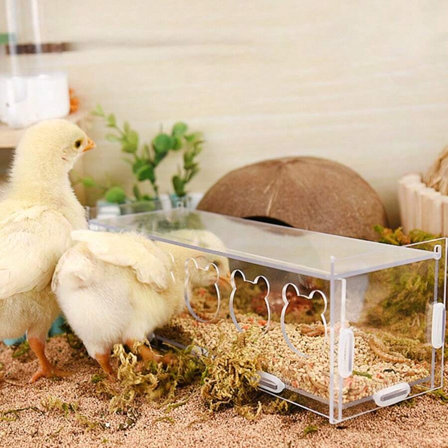 1pc Detachable & Easy-To-Clean Multi-Hole Acrylic Poultry Feeder Design, Excluding Feed, Suitable For Poultry And Livestock All-Season Feeding - Feeder - View 1