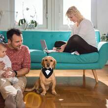 1pc New Pet Tuxedo Bib Bow Tie Drool Bib, Dog Wedding Attire Accessory - Black and White - View 5