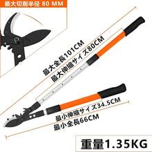 Pruning Tools - Orange (skalierbar) - Übersicht 10