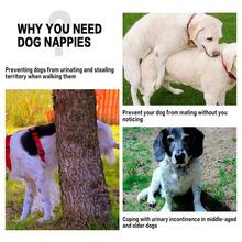 2pcs Dog Belly Bands, Mesh Lining, Small Dog Abdomen Wrap, Leak-Proof, Washable & Reusable, Puppy Diapers, S/M/L/XL - Multicolor - View 3