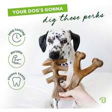 Benebone 2-Pack Wishbone/Dental Durable Dog Chew Toys, Dog Toys For Aggressive Chewers, Real Bacon, Made In USA, Medium - Xương cá nhỏ/Xương đòn - Xem 3