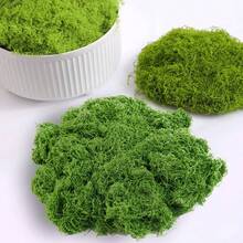 10/30/50/100/200g Realistic Artificial Moss Decor - Lifelike Green Plants - Set - Suitable For Micro Landscape, Windowsill Decor And Design Layout, Bionic Artificial Moss, Green Moss Micro Landscape Decor, Simulated Plants - Green - View 3