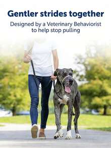 Gentle Leader Head Collar - Helps Improve Walking - Durable Nylon Construction - Padded Nose Loop - Adjustable Fit - Comfortable Walk-In Neck - Black - View 6