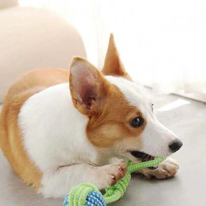 狗狗玩具 - 互动式咀嚼绳球玩具 - 可水洗，耐用，拔河游戏，适合小型和中型犬、幼犬 - 训练、玩耍、清洁牙齿