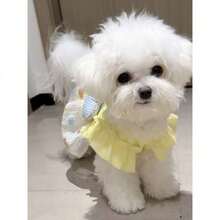 新款宠物狗猫公主裙，适合泰迪犬、博美犬、马尔济斯犬、比熊犬等。 - 黃色 - 查看 5