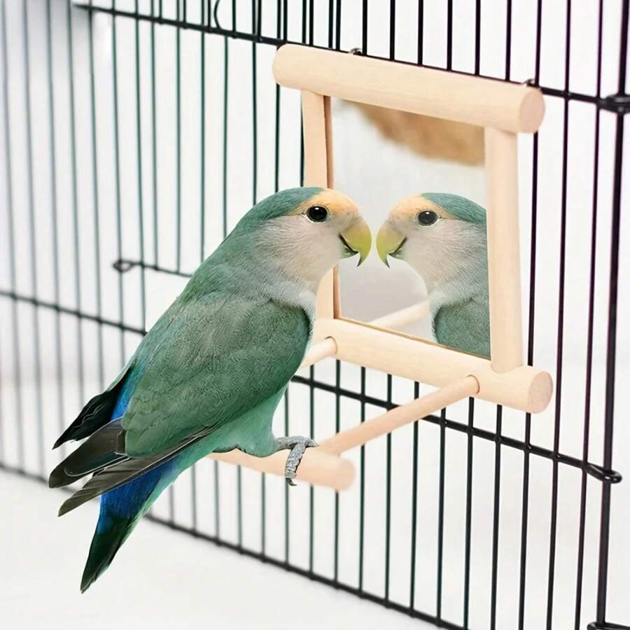 Bird Grooming & Baths - Light Yellow - View 1