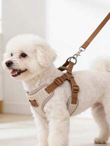 1 Set Breathable & Comfortable Polyester Pet Leash With Cute Teddy Bear Pattern, Suitable For Outdoor Walking Small Teddy Dogs, Includes Dog Collar - Multicolor - View 4