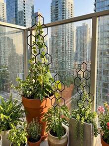 2pcs 14.96x5.91 Inch Honeycomb Plant Trellis, Rust-Resistant Design, Suitable For Potted Vines And Flowers, Space-Saving Indoor/Outdoor Garden Support - Honeycomb - View 4