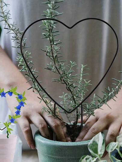 Giàn leo cây bằng kim loại, thanh đỡ cây trồng trang trí, sơn đen, kiểu dáng giản dị, dùng trong nhà/ngoài trời, bền và nhẹ, thích hợp cho cây trồng trong chậu, chăm sóc bãi cỏ và trang trí nhà cửa, thiết kế hình trái tim, cấu trúc chắc chắn, phụ kiện làm vườn cho dây leo, rau củ, hoa leo, khung leo ban công, cây leo, giàn leo bằng sắt, trang trí phòng khách.