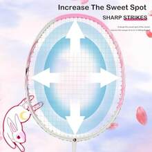 Best Sell-Carbon-Fiber Badminton Racket 5U Badminton Racquet Single Professional Badminton Rackets - N80-black - View 5
