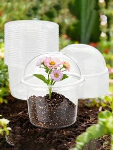 10/15/20个装透明塑料育苗盆，带保湿罩，耐用塑料园艺盆，小型种植容器，可重复使用的种子萌发盆，带透气盖，迷你植物繁殖器套装，适用于幼苗、多肉植物、扦插、园艺和室内植物生长 - 均碼 - 查看 7