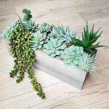 11件套仿真植绒多肉植物套装，高品质多肉植物空气草组合，DIY手工材料包，家居装饰微景观配件，办公桌迷你绿色植物摆件，可搭配花盆，适合懒散的园艺爱好者和手工达人 - 綠色 - 查看 8