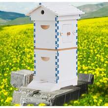 10 X Upgraded Auto Honey MIni Beehive Bee Hive Frames + Beekeeping Brood Fir Box - mặc định - Xem 7