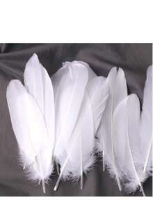 100 chiếc lông ngỗng đen tự nhiên, dài 15-20cm, thích hợp cho các dự án thủ công DIY, cosplay, tiệc cưới, trang trí Halloween và nhiều dịp khác. - Nhiều màu - Xem 13