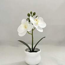 Artificial Phalaenopsis Potted Plant 1PC - White - View 4