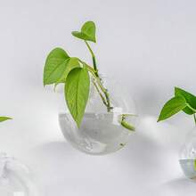 1pc Transparent Circular Wall-Mounted Vase, Acrylic Material Indoor/Outdoor Planter And Aquarium, Creative Wall-Hanging Fish Tank, Dual-Purpose Hydroponics Fish Tank With Plant Holder, Space-Saving Decorative Bottle, Suitable For Office Decor, Indoor And Outdoor Use - Transparent Vase - View 6