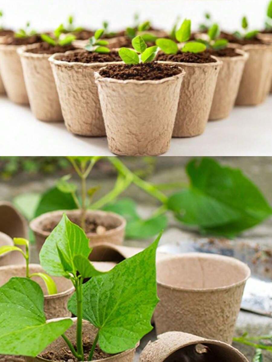 24/40/72 chiếc cốc ươm cây tròn bằng giấy cứng đường kính 6cm, chậu hoa nhỏ dùng một lần cho cây con, giâm cành và cấy ghép. - Một kích cỡ phù hợp cho tất cả - Xem 1