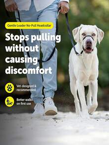 Gentle Leader Head Collar - Helps Improve Walking - Durable Nylon Construction - Padded Nose Loop - Adjustable Fit - Comfortable Walk-In Neck - Black - View 5