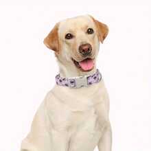 粉色蜜蜂狗项圈 - 可调节雏菊印花宠物项圈，配米色扣环和银色D形环 - 可爱昆虫小狗颈带，适合小型和中型犬 - 淺粉色 - 查看 6