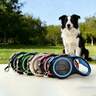 Pet Collars, Leashes & Harnesses