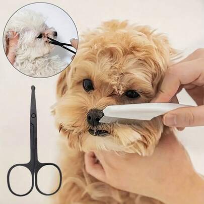 Stainless Steel Round-Tip Pet Grooming Scissors, Suitable For Dogs & Cats, Easy To Clean And Remove Tear Stains, Available In Silver And Black - Designed Specifically For Pets