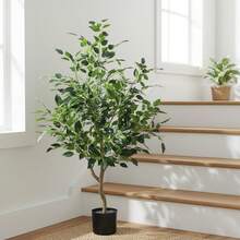 1pc/120cm Artificial Silver-Edged Green Plant, Tall With Natural Texture Decorative Floral, Suitable For Staircase Corner, Corridor, Home, Daily Use, Housewarming And Plant Corner Home Decor - Tree - View 10