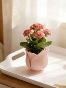 Mini Rose Flower Pot, 3D Printed Plastic Material, Suitable For Retro Desktop And Balcony Decor, Suitable For Balcony Decor, All-Season Daily Gardening Succulent Planter, Balcony Decor, Suitable For Retro Desktop, Balcony, Seasonal Succulents - Multiple Styles - View 5