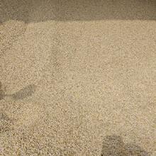 500g/1000g Natural Fine River Sand - Golden Landscape Sand Suitable For Aquarium, South American Cichlids, Loaches And Amphibious Reptiles Habitat, Aquatic Plant Substrate, Aquarium Friendly Substrate - Yellow - View 5