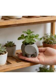 1个迷你大象造型多肉植物花盆，带排水孔 - 3D打印小仙人掌盆，适用于桌面、书架、阳台/户外，耐用塑料花盆架，抛光不对称造型，家居办公装饰礼品 - 大象造型 - 查看 10