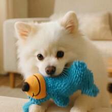 发声狗狗玩具，防咬洁牙宠物用品，可爱狗狗造型，互动洁牙游戏，适合小型和中型犬 - 彩色 - 查看 6