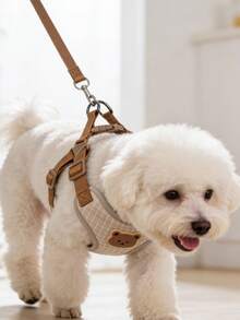 1 Set Breathable & Comfortable Polyester Pet Leash With Cute Teddy Bear Pattern, Suitable For Outdoor Walking Small Teddy Dogs, Includes Dog Collar - Multicolor - View 3