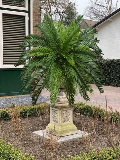 1/2 Cây cọ nhân tạo, Monstera Deliciosa giả, cây cảnh ngoài trời nhân tạo, cây Cycad bằng nhựa. Thích hợp để trang trí nhà cửa và sân vườn trong nhà và ngoài trời, trang trí sân vườn, trang trí hiên nhà, hành lang ban công, trang trí phòng, cây cảnh nhân tạo ngoài trời, trang trí nhà cửa, trang trí tân gia, lá nhiệt đới.