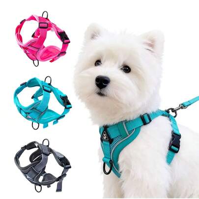 Correa para perro, correa elegante para schnauzer, caniche, yorkshire, gato genial, esencial para uso en exteriores