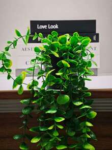 人造桉树吊盆 1个 - 綠色 - 查看 6