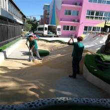 500g/1000g Natural Fine River Sand - Golden Landscape Sand Suitable For Aquarium, South American Cichlids, Loaches And Amphibious Reptiles Habitat, Aquatic Plant Substrate, Aquarium Friendly Substrate - Yellow - View 10