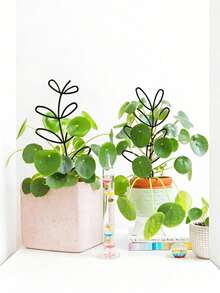 塑料植物支撑杆，适用于植物造型，室内外植物支撑柱，绿色植物支架，适用于盆栽番茄、牡丹、百合、玫瑰等植物、花卉、蔬菜。 - 多色 - 查看 3