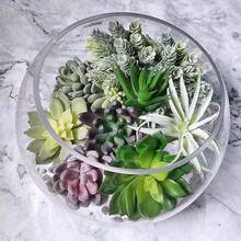 15株仿真多肉植物套装，叶片柔软植绒，色彩自然丰富。可自由搭配花盆、相框或微景观，适用于家居、办公室、园艺DIY、婚礼装饰，为空间带来清新自然的疗愈氛围。 - 綠色 - 查看 8