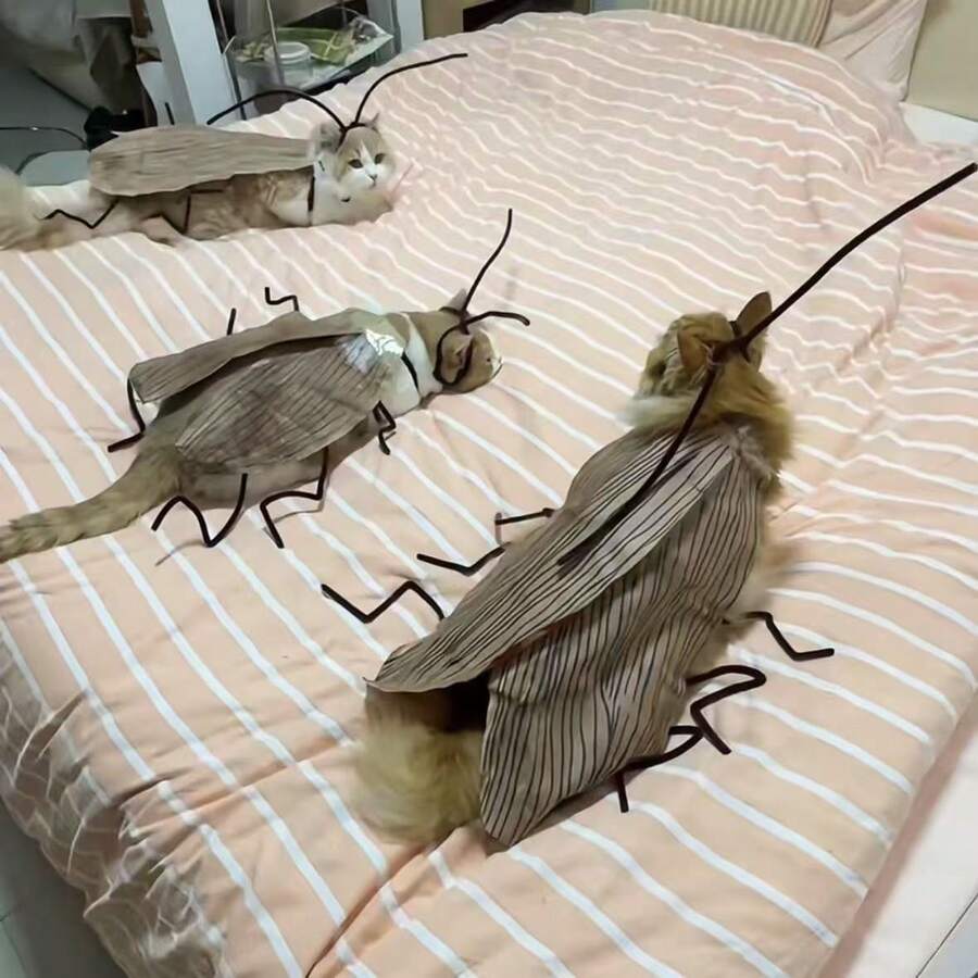 一套DIY手工宠物猫蟑螂服装，猫咪装饰服，无需用电，操作简便，可自行设计图案，适用于猫咪、泰迪熊、宠物狗等。