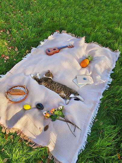 1件装户外卡其色野餐垫，露营毯，帐篷地垫，便携式徒步桌布，加厚款，适合户外使用