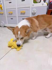 发声狗狗玩具，防咬洁牙宠物用品，可爱狗狗造型，互动洁牙游戏，适合小型和中型犬 - 彩色 - 查看 3