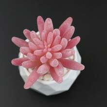 Artificial Succulent Potted Plant, Small Fake Pink Flower, Suitable For Living Room, Bedroom, Office Desk, Bookshelf, Bathroom Decor - Pink Succulent - View 16