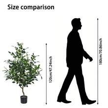 1pc/120cm Artificial Silver-Edged Green Plant, Tall With Natural Texture Decorative Floral, Suitable For Staircase Corner, Corridor, Home, Daily Use, Housewarming And Plant Corner Home Decor - Tree - View 13