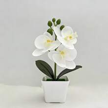 Artificial Phalaenopsis Potted Plant 1PC - White - View 5