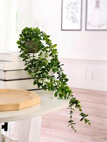 1株人造尤加利垂吊多肉植物 - 綠色 - 查看 7