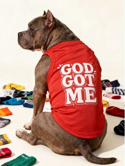LUCKIE LABO 1 stuk "God Got Me" grappig hondenvest met letterprint, fysiek anti-vlooienvest, vermindert verharing, isolerend, ademend, geschikt voor kleine en grote huisdieren, binnen/buiten