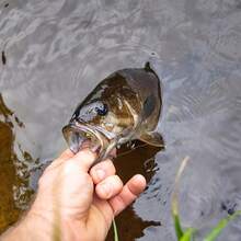 1个14厘米18.5克硬饵，带3个鱼钩，3D眼睛，钓鱼配件 - 彩色 - 查看 11