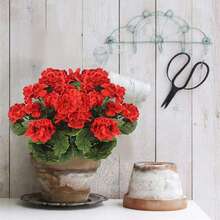 1/2/4 chiếc Hoa phong lữ giả lớn 14 inch, hoa nhựa màu tím dùng trang trí nhà cửa, đám cưới, nhà bếp, sân vườn, bàn tiệc, trong nhà và ngoài trời, cây giả, trang trí phòng, trang trí mùa thu, vật trang trí trung tâm. - Đỏ - Xem 7